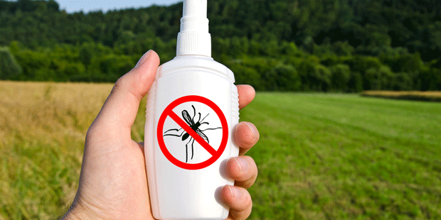Insektenschutzmittel enthält ätherische Öle, die vor Zecken und Mückenstichen schützen