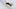 Wespe - Foto: Alamy
