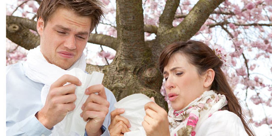 Eltern leiden unter Allergie