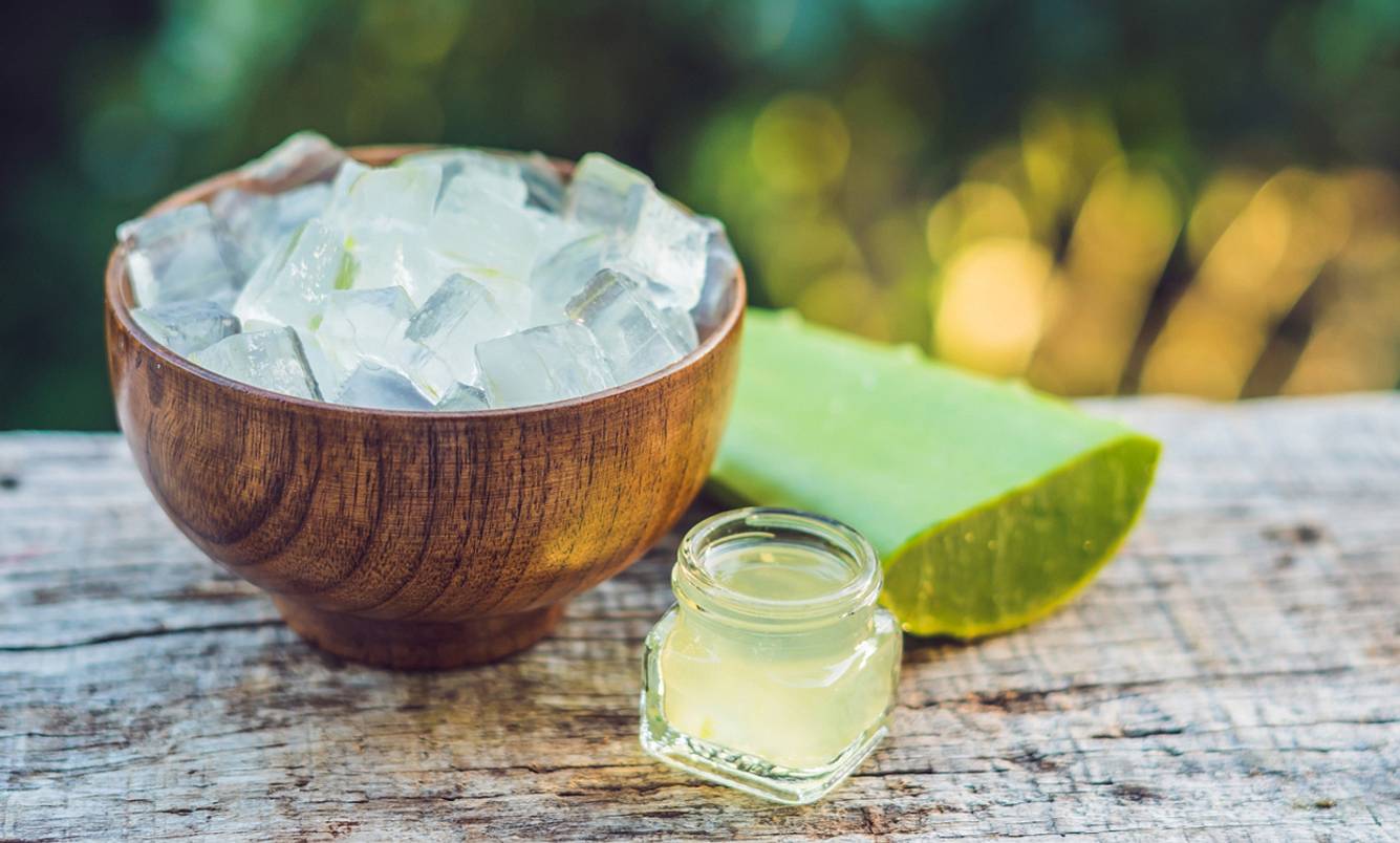 Aloe Vera ist ein wahrer Alleskönner