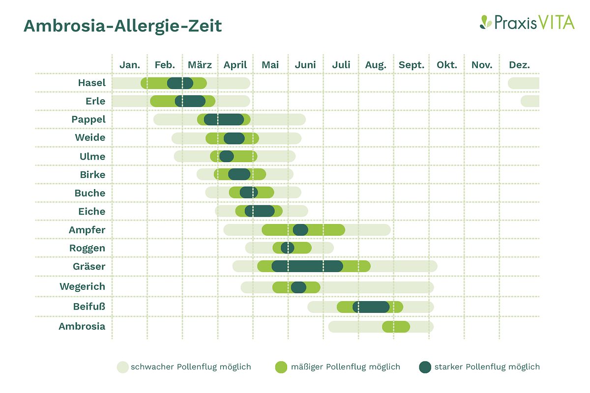Allergie-Kalender