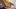 Person schüttet Pillen aus Dose auf Hand - Foto: iStock/ Ridofranz