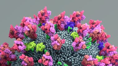 Das Spike-Protein am Coronavirus - Foto: iStock/Design Cells