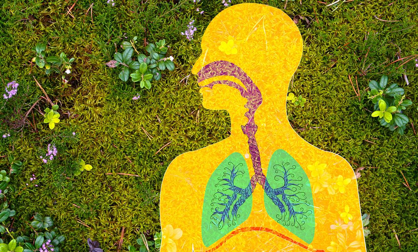 Allergisches Asthma