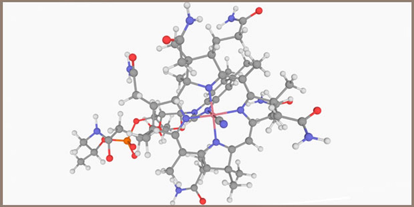 Vitamin B12 stärkt das Nervensystem