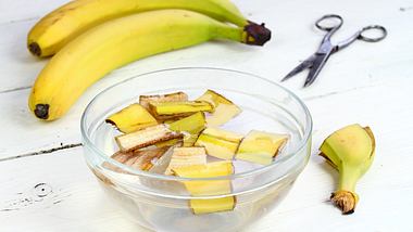 Zwei Bananen sowie eine Galssschüssel mit zerkleinerter Schale, eine Schere und ein Bananenrest auf einem weißen Holztisch - Foto: iStock/svehlik