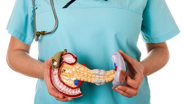 Bauchspeicheldrüse - Foto: iStock/ericsphotography