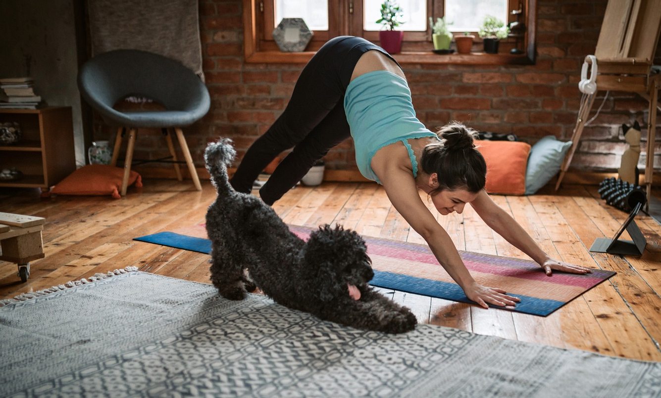 Frau macht Yoga-Übung, Hund macht mit
