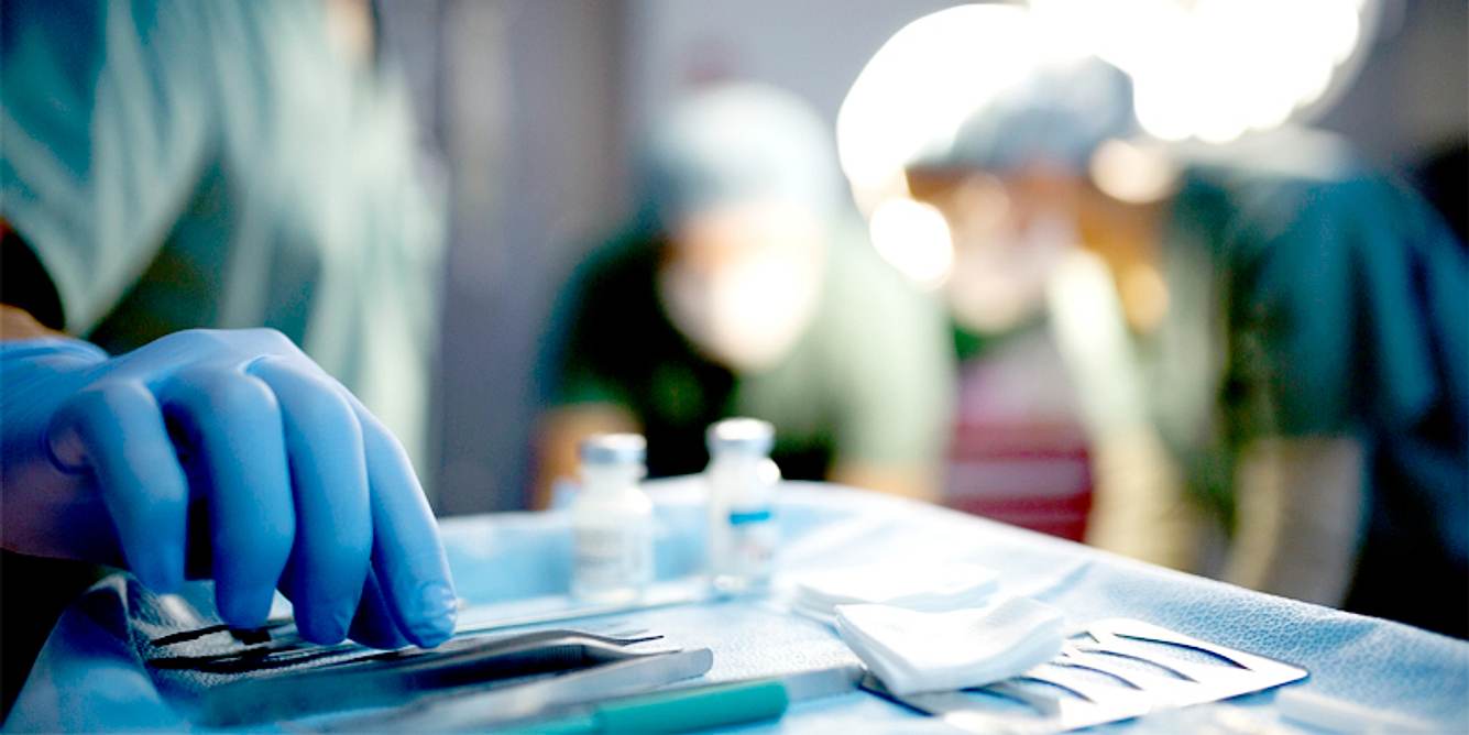 Organspende