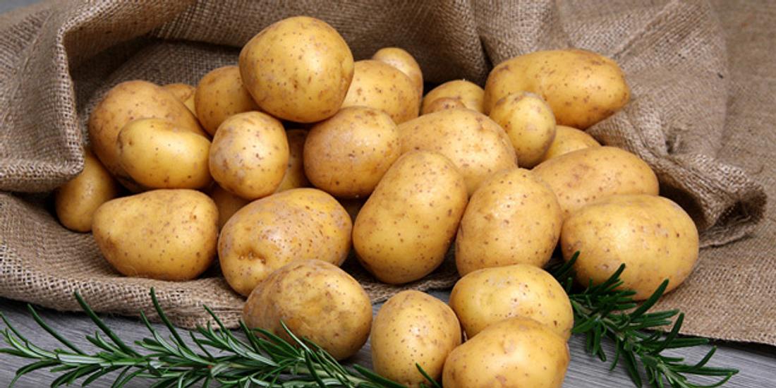 Kartoffelwickel gegen Krämpfe und Blähungen