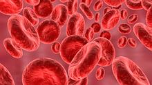 Blutzellen  - Foto: iStock/Rasi Bhadramani