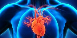 Herzinfarkt durch Bluthochdruck - Foto: istock