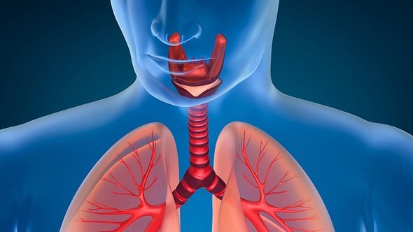 Bronchitis ansteckend - Foto: istock/alex-mit