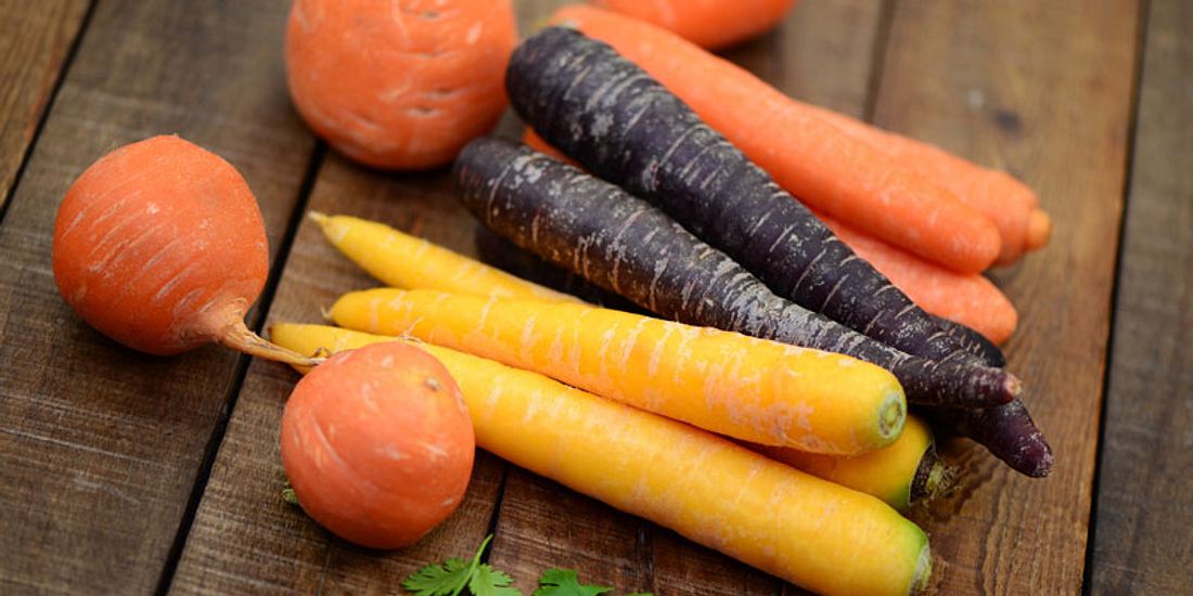 Verschiedene Karottensorten