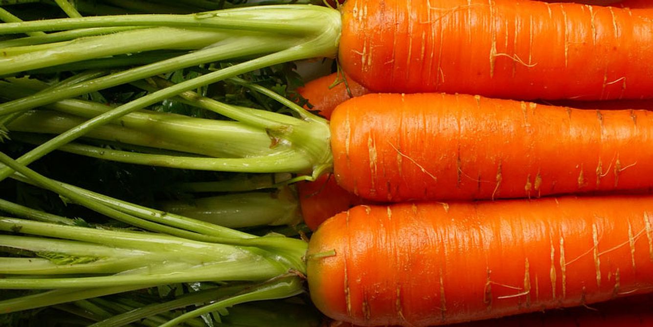 Mit Karotten den Vitamin-A-Speicher auffüllen
