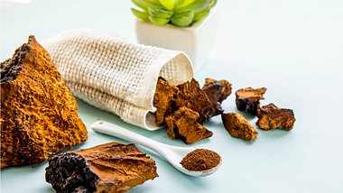 Chaga-Pilze in Stücken und in pulverisierter Form - Foto: istock_Helin Loik-Tomson