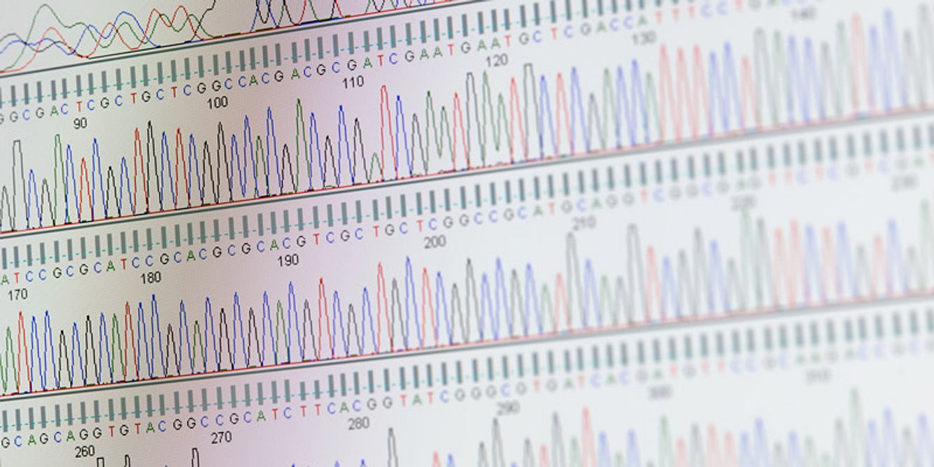 Die Diagnose Chorea Huntington wird gestellt, wenn im Huntington Gen mindestens 36 CAG-Tripletts hintereinander vorkommen