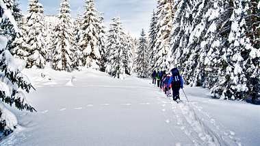 Gruppe von Wanderern von hinten in einem verschneiten Wald - Foto: iStock-ID 154078883 tepic