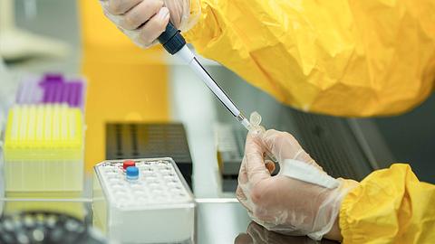 Mediziner füllt Blutspende in ein Röhrchen - Foto: IMAGO/ITAR-TASS