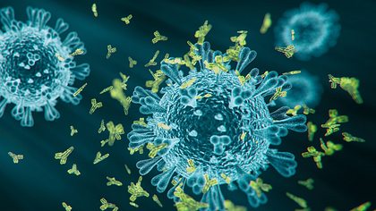 Illustration von Antikörpern, die sich an einen Krankheitserregern heften - Foto: iStock_koto_feja