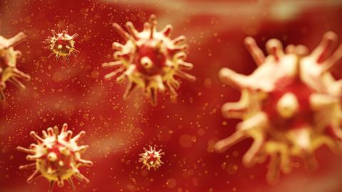 Coronavirus - Foto: iStock/ExperienceInteriors