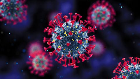 Coronavirus - Foto: iStock/BlackJack3D