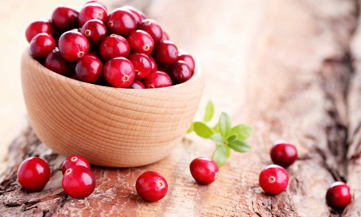 Bei einer Harnröhrenentzündung können Cranberrys die Behandlung unterstützen