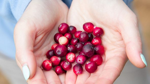 Frau hält Cranberries in den Händen - Foto: iStock/Hydromet