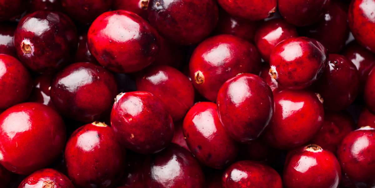 Cranberry
