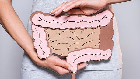 Foto: iStock - Foto: iStock/LightFieldStudios