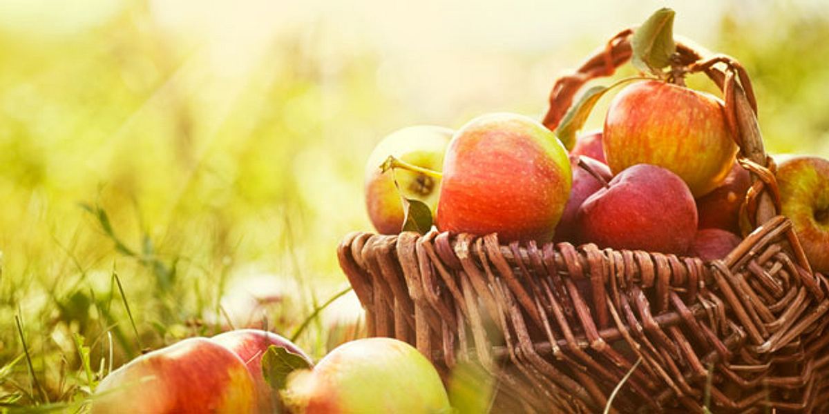 Äpfel beugen Darmkrebs vor