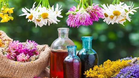 Homöopathische Pflanzen und Samen - Foto: Fotolia