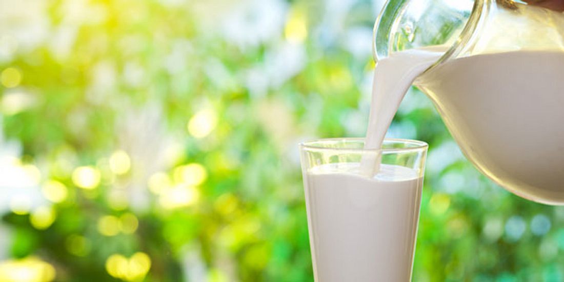 Milchprodukte während der Detox-Kur vermeiden
