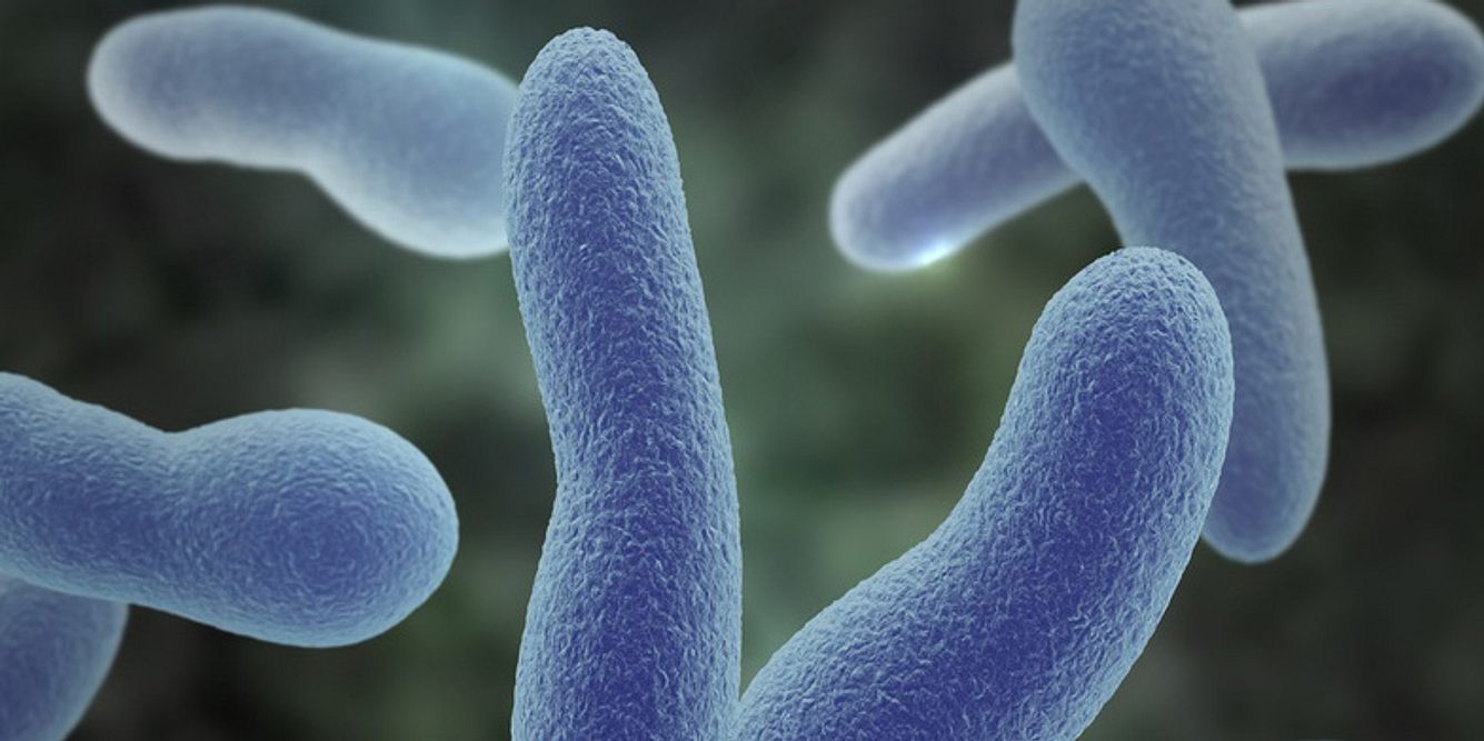 Diphtherie ist die Ursache eine Infektion mit einem stäbchenförmigen Bakterium