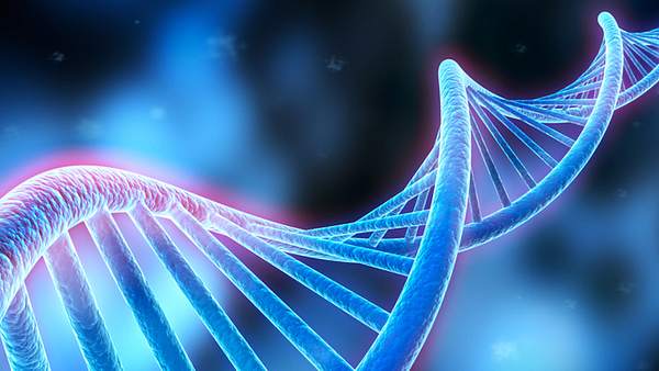 DNA-Strang - Foto: Fotolia