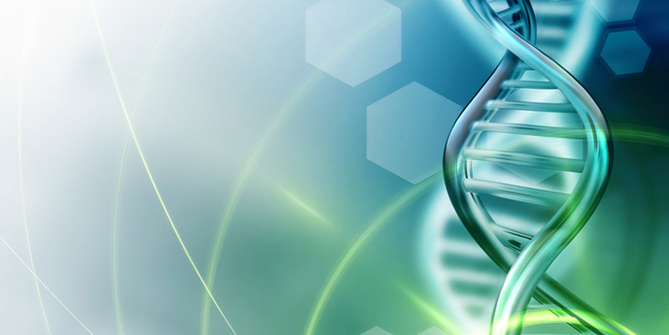 DNA-Strang