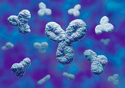 Monoklonale Antikörper - Foto: iStock/Gilnature