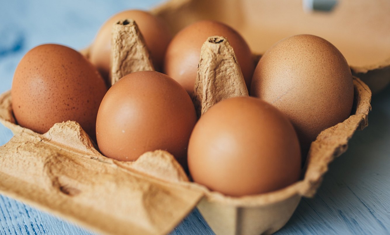 Eine Packung mit sechs braunen Eiern
