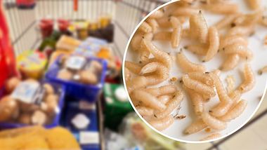 Montag aus Einkaufswagen mit vielen Produkten und Bild mit kleinen Würmern - Foto: IMAGO / MiS; iStock / tomazl