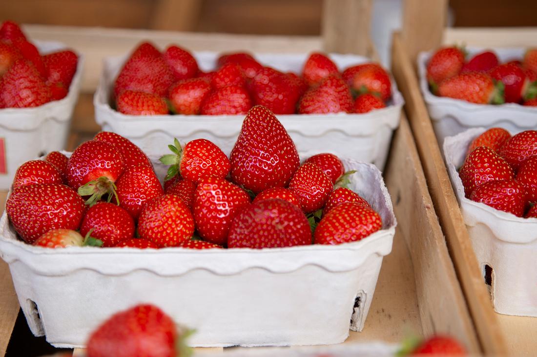 Erdbeeren vermindern das Absterben von Zellen