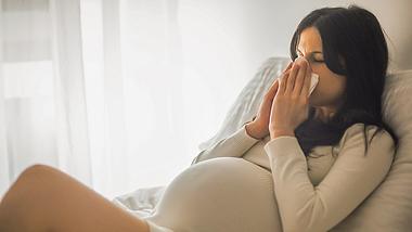 Erkältung in der Schwangerschaft ist keine Seltenheit - Foto: iStock | momcilog