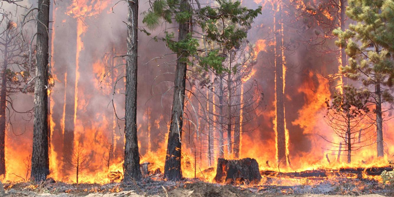 Auch in der Natur gibt es Feinstaubquellen, wie z.B. Waldbrände