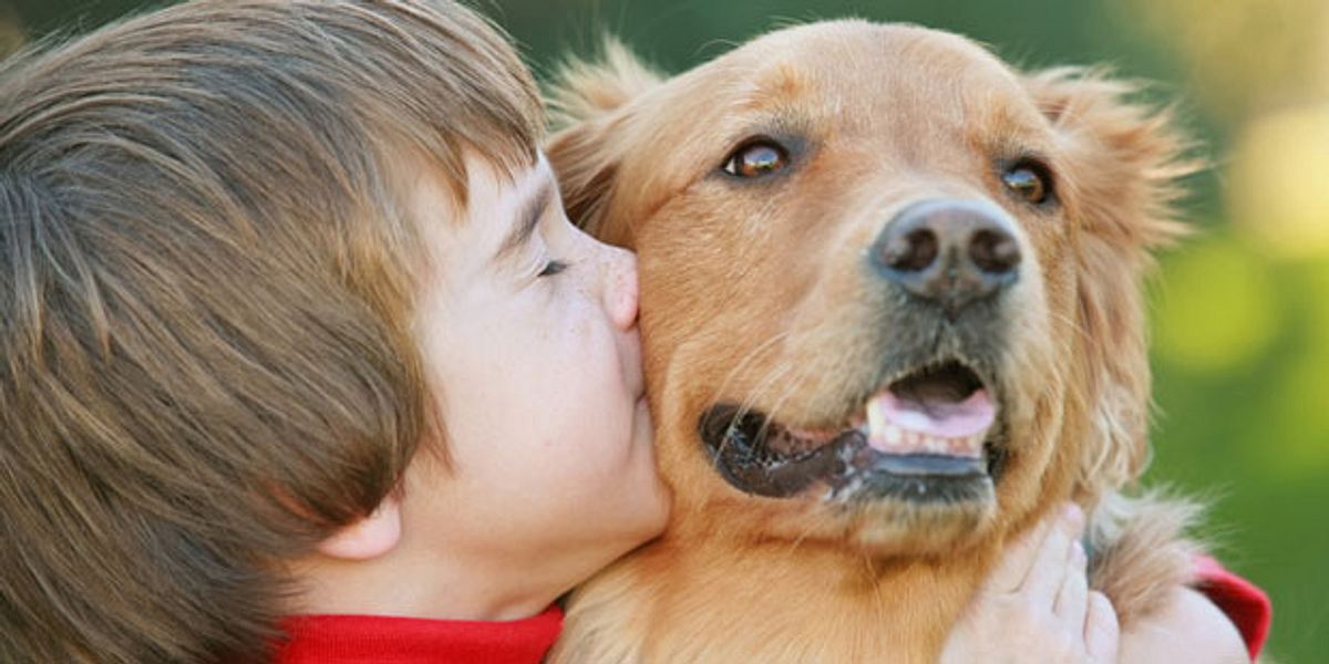 Flöhe können von Hunden auf den Menschen übertragen werden