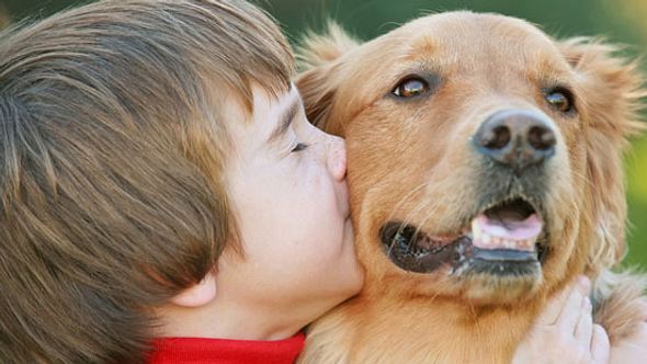 Flöhe können von Hunden auf den Menschen übertragen werden - Foto: Fotolia