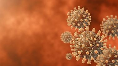 Darstellung von Coronaviren - Foto: Istock/feellife