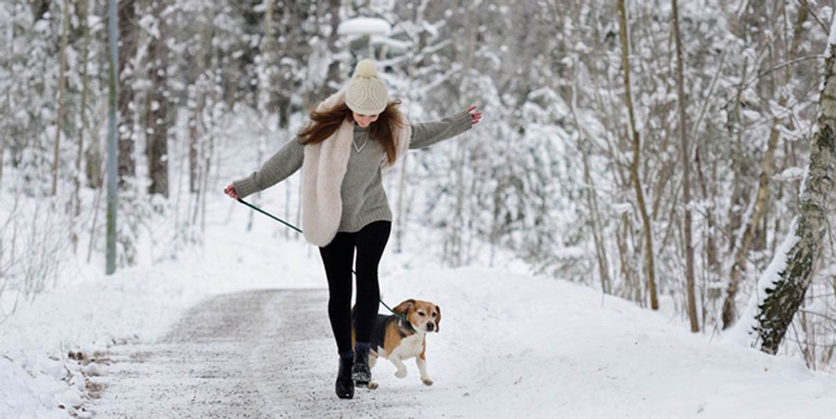 Frau und Hund im Winterwald