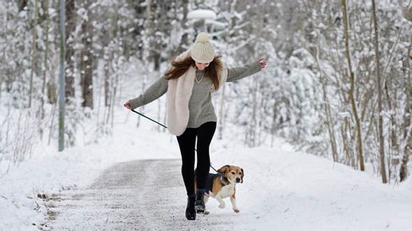 Frau und Hund im Winterwald - Foto: istock