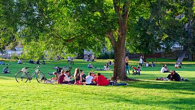 Eine Gruppe sitzt im Park zusammen - Foto: iStock_Olga355