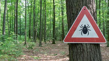 Ein Zecken-Warnschild in einem Wald - Foto: istock_gabort71