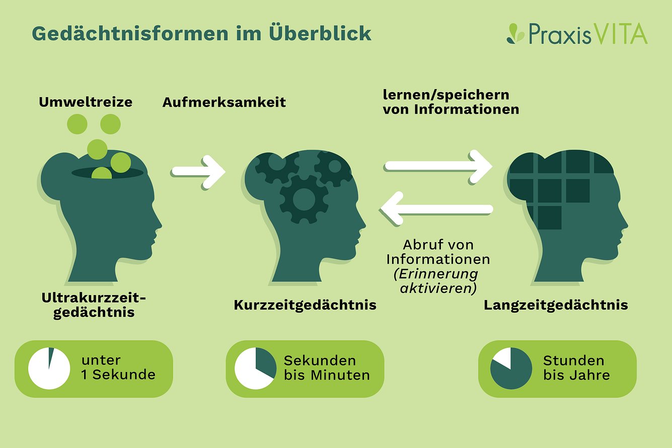 gedaechtnisformen Grafik Gedächtnisformen
